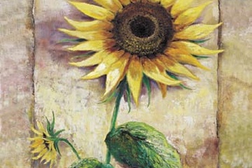 Afbeelding van Rian Withaar - Magnificant Sunflower - Afm. 50x70 cm