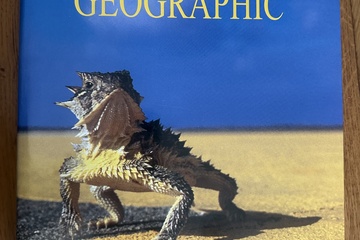 Afbeelding van The Art of Photography at National Geographic    Prachtig gr