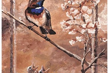 Afbeelding van David Blair, Forage I, Afm: 30x40 cm