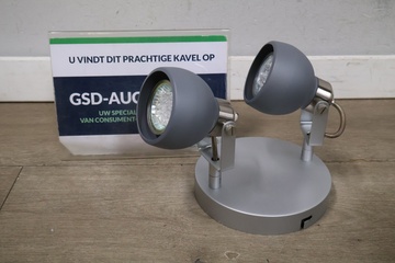 Afbeelding van Duo spot plafonlamp van Gamma