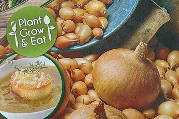 Afbeelding van Plantui Sturon – 250g Plantuien – Moestuin Set