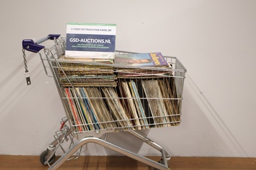 Afbeelding van Grote Collectie Vintage Lp's van Allerlei Genres