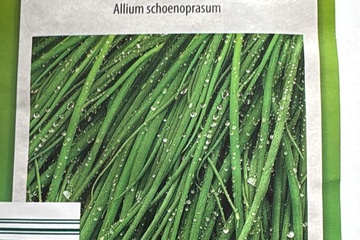 Afbeelding van 2 zakjes zaadjes voor bieslook tht31-12-2025