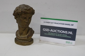 Afbeelding van Buste van Michelangelo's