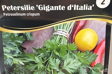 Afbeelding van 3 zakjes zaadjes voor peterselie gigante d itaila 12-25