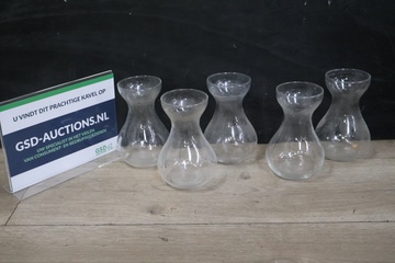 Afbeelding van Hyacinten vaasjes 5 stuks