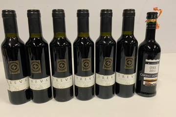 Afbeelding van Set van 6 Rode Flesjes Trewa & 1 Cimarosa uit Chili