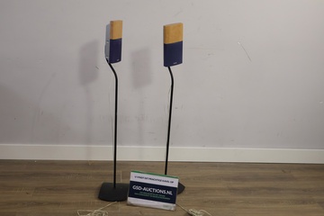 Afbeelding van Set van 2 Staande Pioneer Speakers