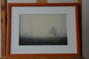 Afbeelding van Ingelijste foto van een mistig landschap'