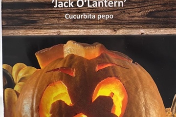 Afbeelding van 3 zakjes zaadjes voor pompoen haloween tht 31-12-2025