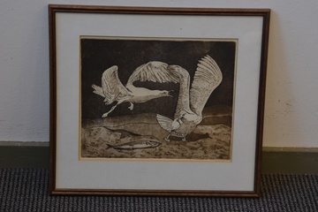 Afbeelding van Ingelijste litho: Ruziende zeemeeuwen, door Wil '89.