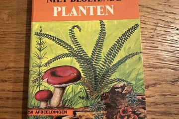 Afbeelding van Natuurgids voor de Niet-Bloeiende Planten    Productomschrij