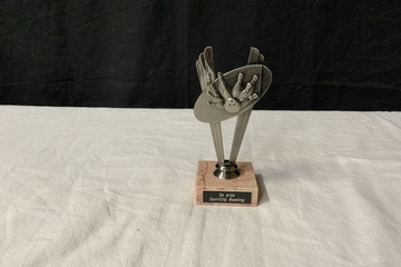 Afbeelding van Metalen Sportcity Bowling Trofee