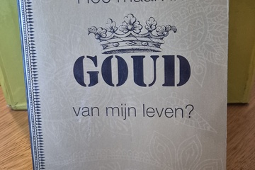 Afbeelding van hoe maak ik goud van mijn leven?