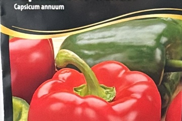 Afbeelding van 3 zakjes zaadjes voor rode paprika Yolo wonder tht 31-12-25