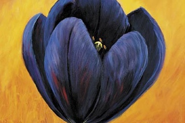 Afbeelding van Katharina Schoettler - Purple tulip II - Afm: 70x70xcm