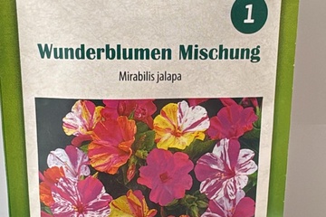 Afbeelding van 2 zakjes zaadjes voor wonderbloemen mix tht 31-12-2025