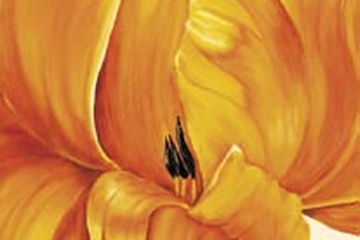 Afbeelding van Beatrix Frederiks -Tulips in Tryptichon I - Afm: 25x70 cm