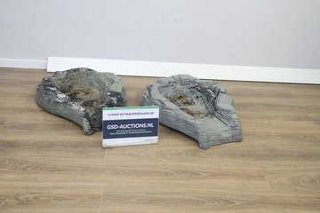 Afbeelding van Set van 2 Kunststoffen Vijverornamenten