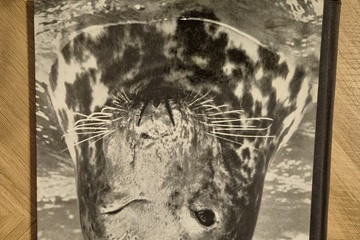 Afbeelding van Lachende Kamera II – Humoristisch Fotoboek – Hardcover