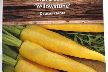 Afbeelding van 3 zakjes zaadjes voor gele wortel Yellowstone tht 31-12-2025