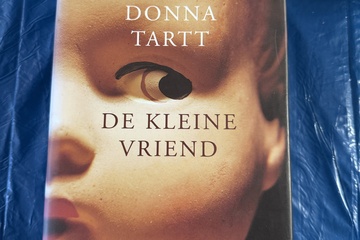 Afbeelding van Bijzonder literair werk –   De kleine vriend   van   Donna T