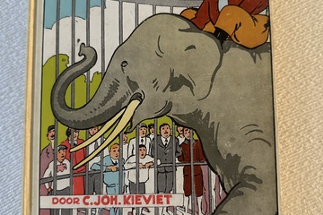 Afbeelding van Het tweede boek van dik trom en zijn dorpsgenoten