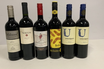 Afbeelding van Mix van 6 Flessen Merlot