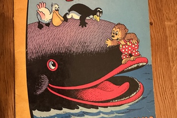 Afbeelding van Pol – Ontmoet een Walvis  Door Hansen. Uitgegeven door Caste