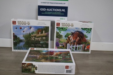 Afbeelding van Set van 3 Legpuzzels van 1000-Stukjes