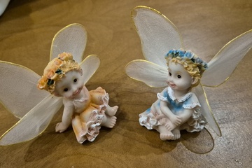 Afbeelding van Set van 2 bloemenfeeen