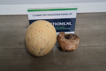 Afbeelding van Struisvogelei en een ammoniet fossiel