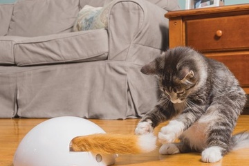 Afbeelding van FroliCat Vossenhol - Automatische Kattenplager