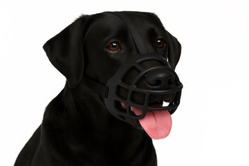 Afbeelding van Flamingo muilkorf honden