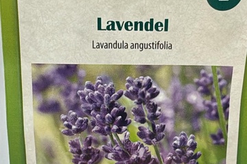 Afbeelding van 3 zakjes zaadjes voor lavendel tht 31-12-2025