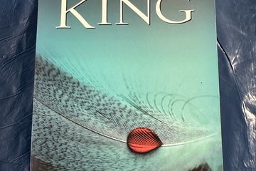 Afbeelding van Bijzondere roman – Lisey’s verhaal van Stephen King    Aange