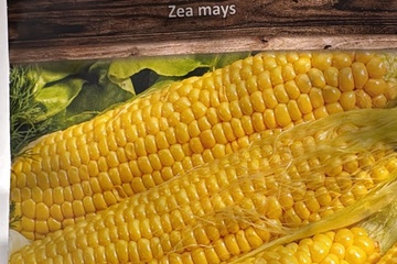 Afbeelding van 3 zakjes zaadjes voor suikermais tht 31-12-2025