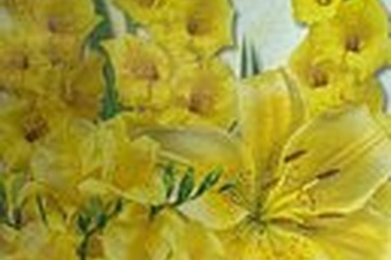 Afbeelding van Bloembollenmix Geel – 26 Bollen | Lelie, Gladiolus & Freesia