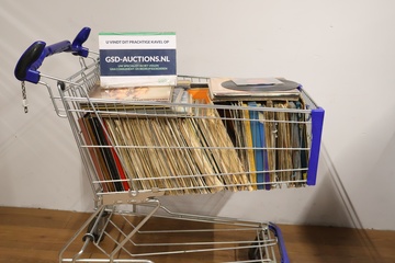 Afbeelding van Grote Collectie Lp's van Allerlei Genres