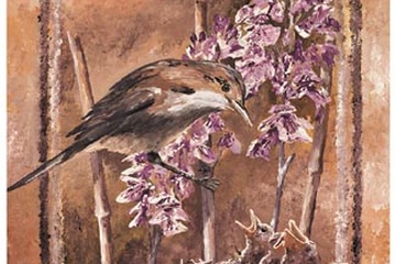 Afbeelding van David Blair, Forage II, Afm: 30x40 cm