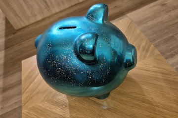 Afbeelding van Spaarvarken