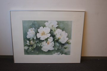 Afbeelding van Aquarel van N. vd Meyden: Witte rozen