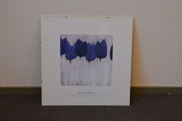 Afbeelding van Print van Scott Olson: Blauwe tulpen'