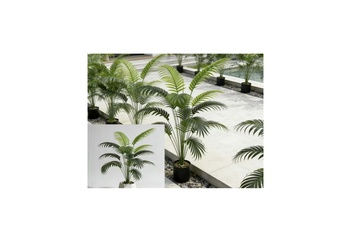 Afbeelding van Kunstpalm - set van 2 - 60 cm