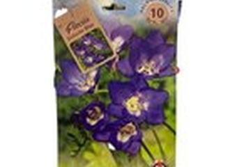 Afbeelding van Freesia Blauw 10st - Bloembollen - Langendijk