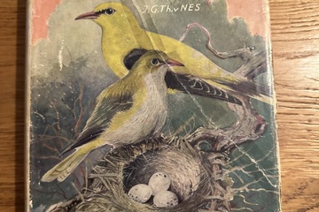 Afbeelding van De eieren en nesten van onze vogels – J.G.Th. v. Nes    Prod