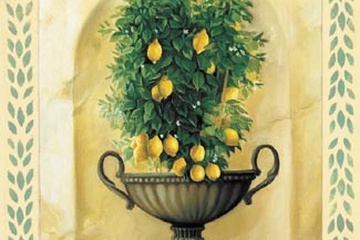 Afbeelding van Milieu du Ciel - Citrons - Afm: 40x50 Cm