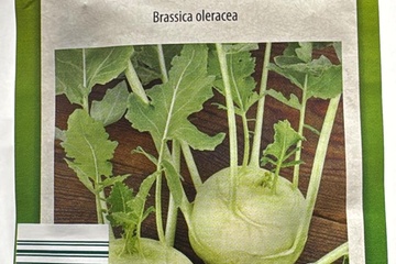 Afbeelding van 3 zakjes zaadjes voor Koolrabi wit tht 31-12-2025