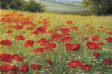 Afbeelding van Heinz Schoelnhammer - Sparklin Field II - Afm: 60x80 cm