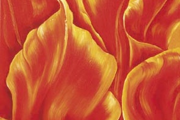 Afbeelding van Beatrix Frederiks, Tripple of tulips II, Afm: 40x50 cm